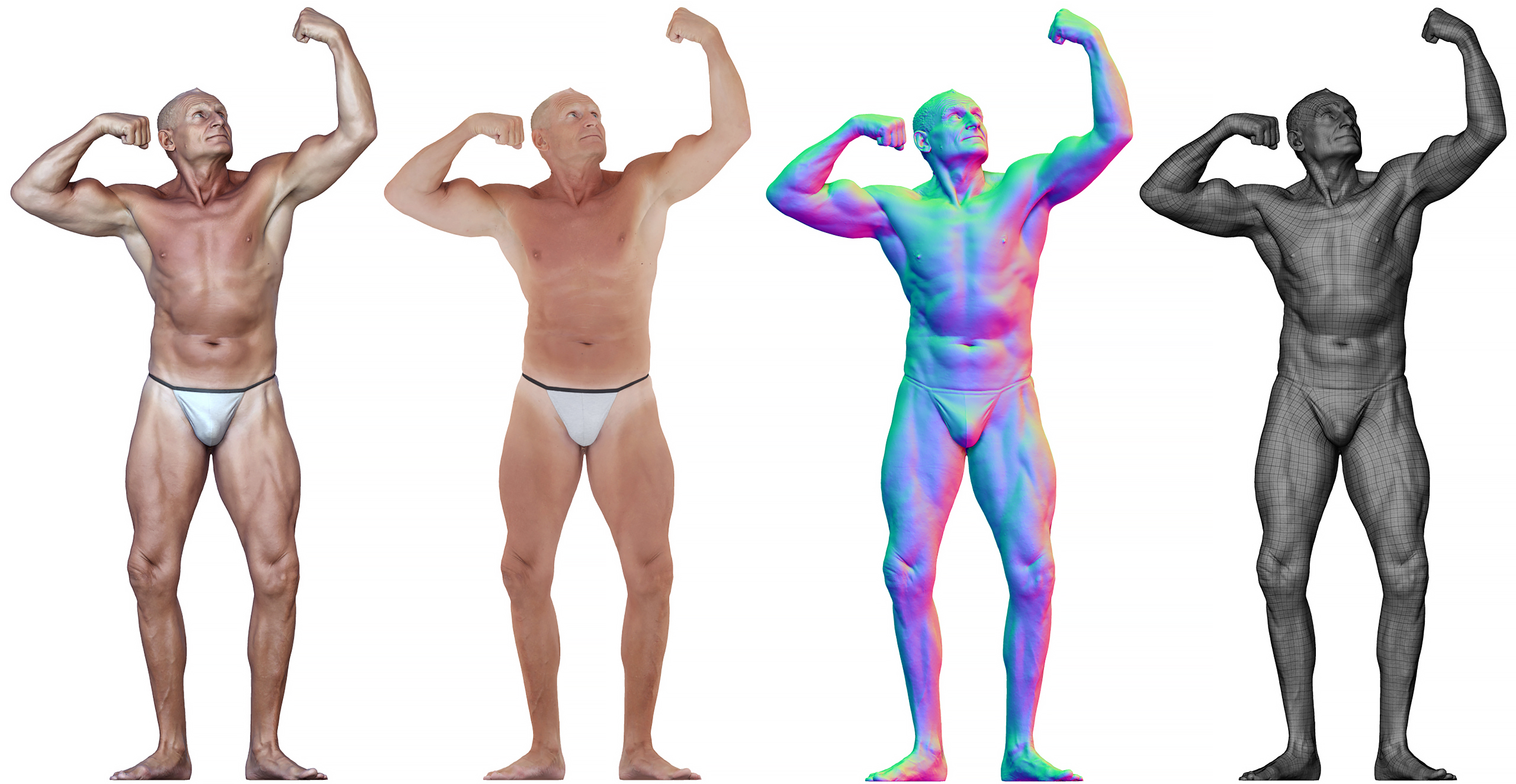ZBrush Male Anatomy 3d reference scan shaders